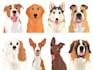 draw your lovely pet into disney cartoon portrait