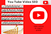your youtube channel growth manager