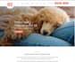 build your custom web application