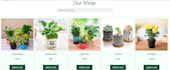 design a modern responsive website with HTML CSS javascript