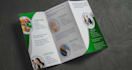 design a custom and unique brochure for your brand