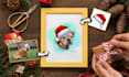 draw your pets using professional christmas costumes