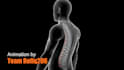 do custom 3d product, science and medical animation