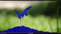 do vfx cleanup, rotoscoping, screen replacement etc