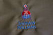 do embroidery digitizing into dst pes jef exp vp3 fast