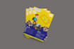 make brochure, poster, banner, flyer with print ready design