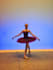 teach you a ballet variation