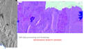 do sar remote sensing data processing and analyzing