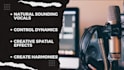 professionally tune, edit and process your vocals