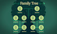 design your  organization chart, genealogy family tree