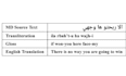translate  tamazight, darija, to englsih or vice versa