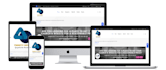 build a professional wordpress website for your business