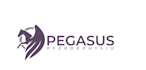 design a professional modern pegasus logo