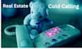 do real estate wholesale real estate leads skip tracing cold calling