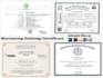 do professional certificate, custom certificate, diploma certificate