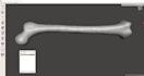 make 3d human anatomical models