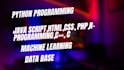 do python programming, javascript, HTML and related tasks