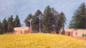 make artistic oil paint landscape on canvas