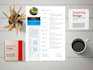 design professional resume design and resume writing