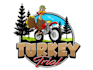 design excellent turkey logo