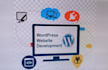provide  monthly services wordpress maintenance