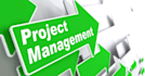 provide unique and editable project management templates