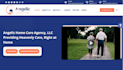 do home assistant and home care website design