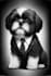 create unique ai generated art for you using midjourney