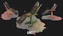 create photorealistic 3d product modelling and animation