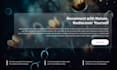 develop websites landing pages portfolio sites