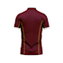 create your 3d 2d polo in one day