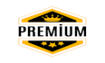 fast professional logo designer