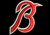 do 3d puff embroidery digitizing design