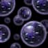teach you how to shift reality to a parallel universe