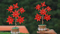 create DIY origami beautiful craft videos in 24 hours