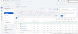 google ads expert for your PPC ads campaigns
