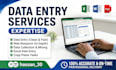 do excel data entry, data scraping, data collection,  cleaning and formatting