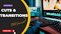 do simple and professional video editing with in 24 hour