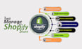 be your shopify store manager for daily maintenance and optimization