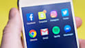 provide limited technical support for bacon inc gig work app