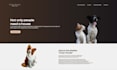 design an amazing website using HTML and CSS in 1 day