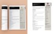 write professional resume, cover letter, linkedin