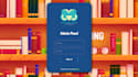 fix bugs, optimize, and improve your website performance