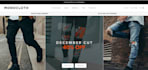 design and build a professional shopify dropshipping store or shopify web