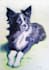 draw your pet and send the file by mail