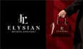 do professional luxury business logo design