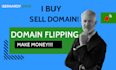 teach you domain flipping business