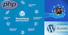 develop a custom wordpress website, build woocommerce plugin