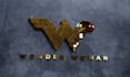 do epic and elegant looking 2d and 3d logo animation