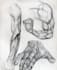 design medical and scientific illustrations